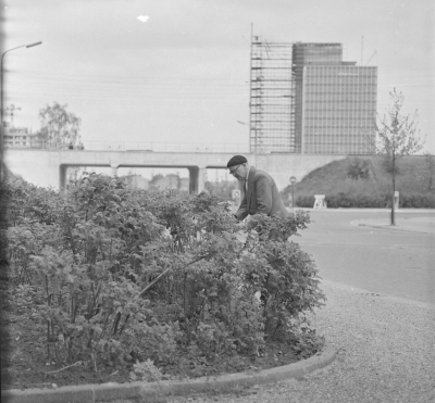 Philips de Jongh wandelpark, 05-1962