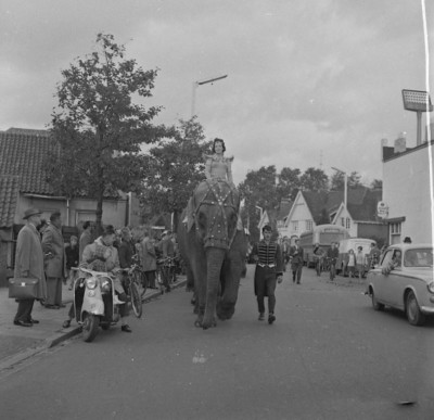Olifant in de optocht van het circus