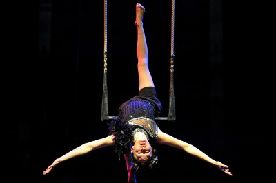 Trapezeartiest