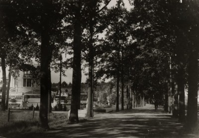 PEA-park