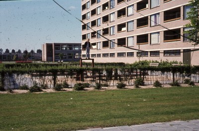 De nieuwe woonwijk De Baarzen "leefbaar nu en straks"; een flatgebouw, een gazon en speelterrein, gezien vanaf de Pieter Vreedesingel, Vught jaren 70 (foto: Vera Delleman-de Kort, collectie BHIC nr. 1923-003619)