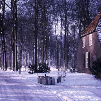 besneeuwde boerderij brabant