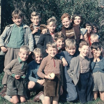 Artikelen over Brabant in de jaren 50