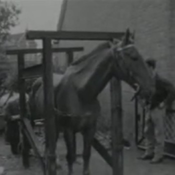 Filmstill uit Dorpsfilm Halsteren, 1965 (collectie West-Brabants Archief nr. BGMON00201)